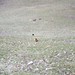 Robin Calhoun Photo 12