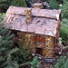 William Busse Photo 7