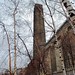 Scott Faro Photo 10
