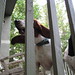 Molly Abbott Photo 11