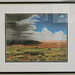 Barbara Plummer Photo 6