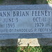 Ann Feeney Photo 14