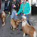 Nicholle Smith Photo 6
