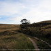 Patrick Moor Photo 6