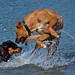 Steven Vick Photo 3