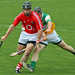 Sean Ronan Photo 15