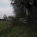 Robert Cole Photo 7
