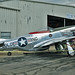Michael Stang Photo 8