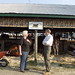 Brenda York Photo 7