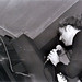 Peter Voss Photo 15
