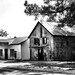 Gayle Johnson Photo 6