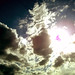 Angel Divino Photo 2