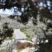 Joshua Lane Photo 18