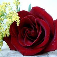 Sukhjeet Kaur Photo 24
