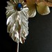 Jane Hake Photo 7