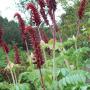 Christine Womack Photo 27