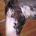 Julio Criollo Photo 6