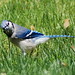 Jay Hunt Photo 10