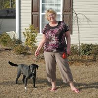 Diane Schmidt Photo 34