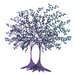 Ilan Shamir Photo 5