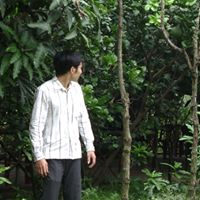 Hoang Long Photo 23