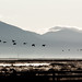 Lois Crane Photo 8
