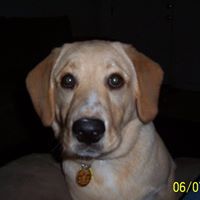 Carol Stoddard Photo 21