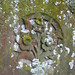 Ann Barham Photo 11