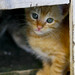 Antonio Leite Photo 3