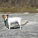 Jay Courtney Photo 5