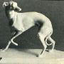 Mildred Richardson Photo 36