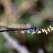 Theresa Sage Photo 10