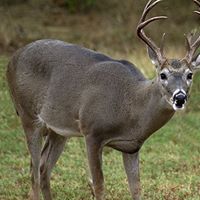 Jacob Andrews Photo 33