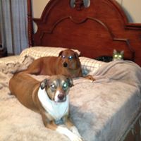 Martha Yoder Photo 24
