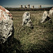 Le Stone Photo 8