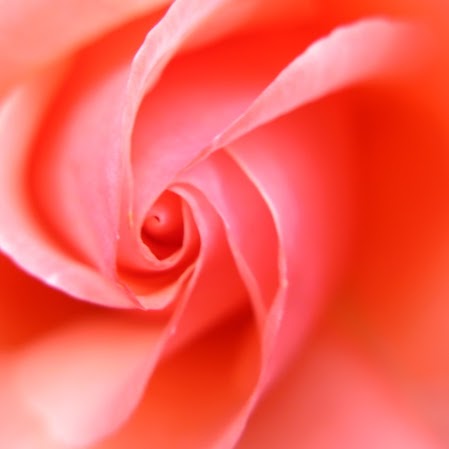Jyoti Ahire Photo 3