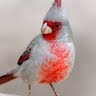 Diane Arsenault Photo 23