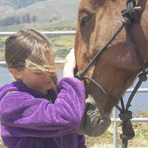 Maryann Webber Photo 7