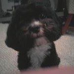 Gail Eckles Photo 4