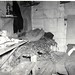 Chet Bell Photo 10