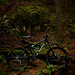 Guy Fromme Photo 6