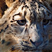 Mark Lichten Photo 7
