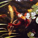 Kelly Gottschalk Photo 8