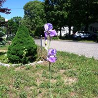 Victoria Walker Photo 37