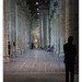 Martin Schipper Photo 12