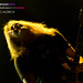 Glenn Batten Photo 7
