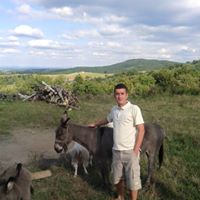 Milovan Popovic Photo 4