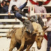 Jesse Haynes Photo 5