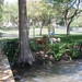 Judy Murphy Photo 7