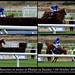 Robert Thornton Photo 9